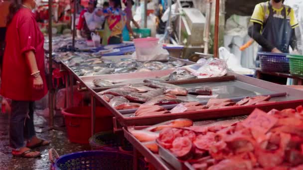 Αγνώριστοι Άνθρωποι Αγοράζουν Φρέσκα Ψάρια Στην Ταϊλάνδη Οριζόντια Βίντεο — Αρχείο Βίντεο