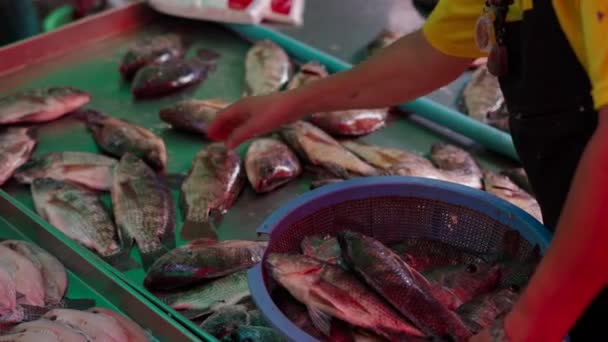 Close Man Putting Fresh Fish Strainer Fish Jumping Background Horizontal — Stockvideo