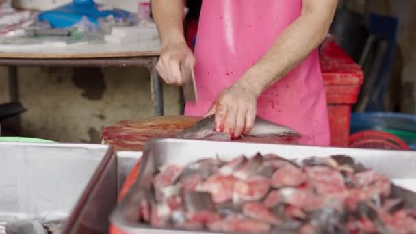 Man Slicing Still Alive Fish Khlong Toei Market Thailand Horizontal — Video Stock