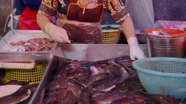 Γυναίκα Σφαγή Ζωντανό Ψάρι Στην Αγορά Ψύλλων Στην Ταϊλάνδη Οριζόντια — Αρχείο Βίντεο
