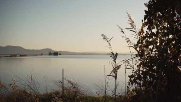 Landscape Beautiful Lake Plenty Plants Spain Horizontal Video — Stock Video