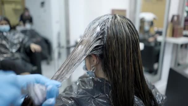 Hairdresser Applies Dye Customers Wet Hair Coloring Horizontal Video — Stockvideo