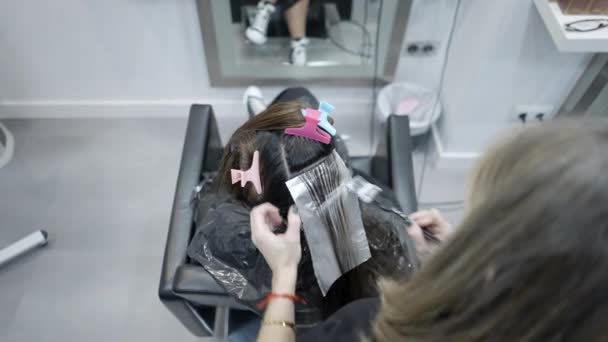 Hairstylist Applying Hair Dye Standing Beauty Salon Horizontal Video — Vídeo de stock