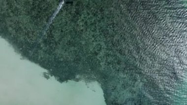 Kitesurfing Tourist In Tropical Beach Of Ko Pha Ngan, Southeast Thailand. Aerial Drone Shot - 4K Horizontal video