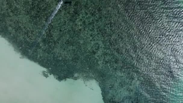 Kitesurfing Tourist Tropical Beach Pha Ngan Southeast Thailand Aerial Drone — 비디오