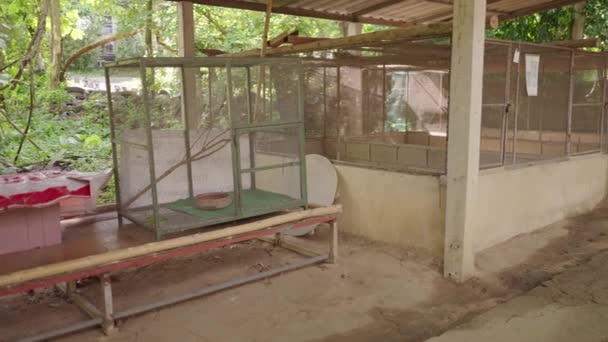 Povere Gabbie Serpenti Fienile Cobra Mae Snake Farm Chiang Mai — Video Stock