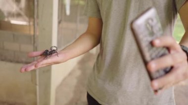 Avucunda canlı bir akrep tutan ve Mae Sa Snake Farm, Chiang Mai, Tayland 'da cep telefonuyla fotoğraf çeken tanınmamış bir kadın.