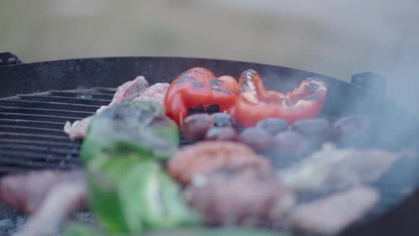 Carne Verduras Barbacoa Cocinada Para Picnic Aire Libre Humo Emana — Vídeo de stock