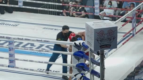 Árbitro Muay Thai Separa Lutadores Canto Ringue Boxe Ampla Horizontal — Vídeo de Stock