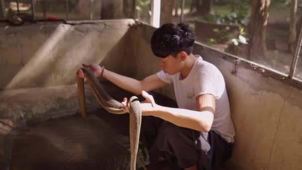 Thai Man Holding Water Snake Hands Fienile Mae Snake Farm — Video Stock