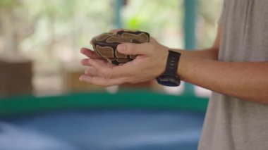 Mae Sa Snake Çiftliği 'nde küçük kıvrımlı piton yılanını tutan turistler el ele tutuşuyor. Chiang Mai, Tayland - yavaş çekim - 4K Yatay video