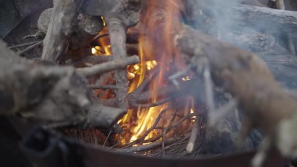 Primo Piano Dei Tronchi Bruciati Nel Barbecue Legno Video Orizzontale — Video Stock