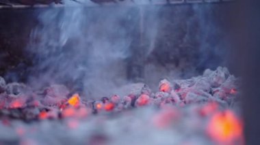 Ağaç külü ve duman çıkıyor - aşırı yakın çekim - 4K Yatay video
