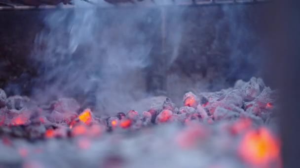 Ilumine Cinzas Madeira Fumaça Saindo Extremo Close Shot Horizontal Vídeo — Vídeo de Stock