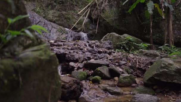 Creek Flowing Mae Kampong Waterfall Mountain Village Chiang Mai Tailândia — Vídeo de Stock