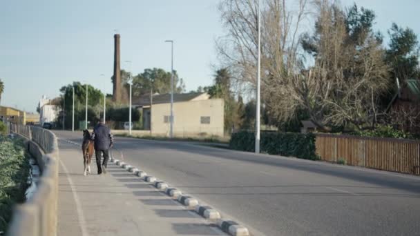 農村部の道路以外の道路で敵と歩くシニア男 スローモーションショット 4K水平ビデオ — ストック動画