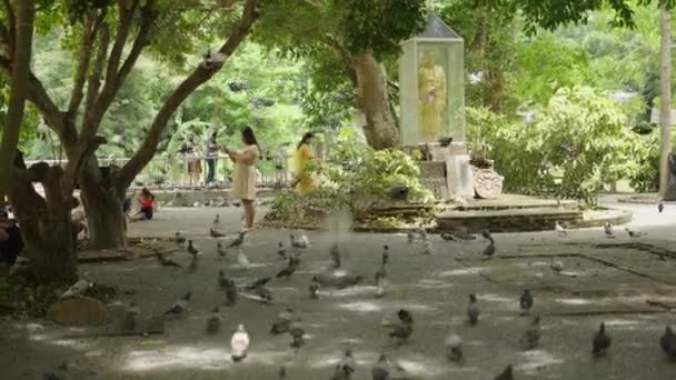 Mulheres Asiáticas Pombo Preenchido Parque Com Estátua Por Templo Tailândia — Vídeo de Stock