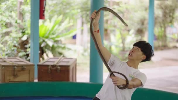 Chiang Mai Snake Show Thaise Man Handler Presteren Met Waterslang — Stockvideo