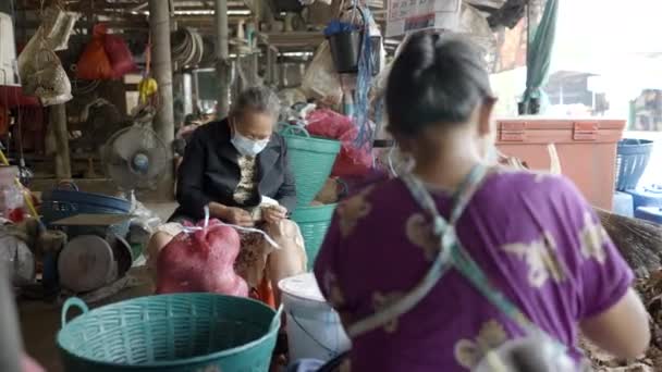 Femme Asiatique Comptant Argent Dans Une Ferme Noix Coco Traditionnelle — Video