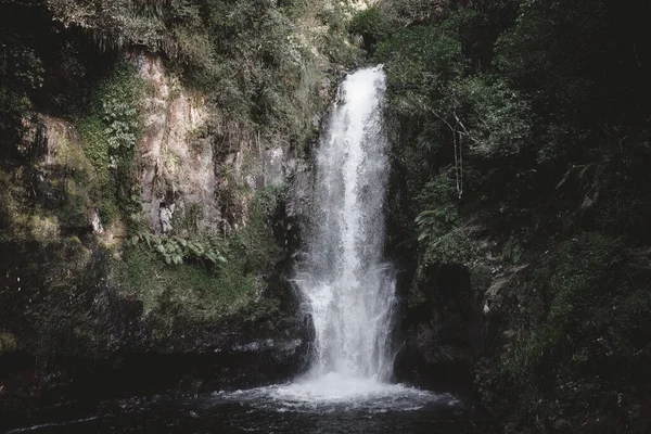 Junge Frau Auf Dem Felsen Kaiate Wasserfall Lifestyle Konzept — Stockfoto