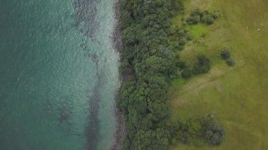Yeni Zelanda 'da Maunganui Dağı ve denizin havadan görünüşü - 4K Yatay video