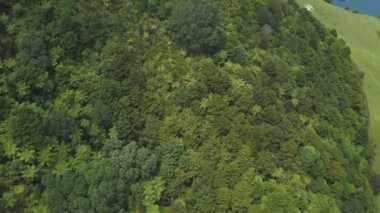 Maunganui dağının ve kırsal alanların hava görüntüsü - 4K Yatay video