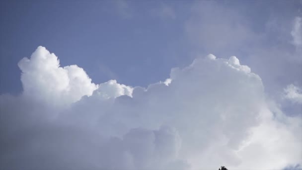 Close Van Blauwe Lucht Wolken Mount Maunganui Horizontale Video — Stockvideo