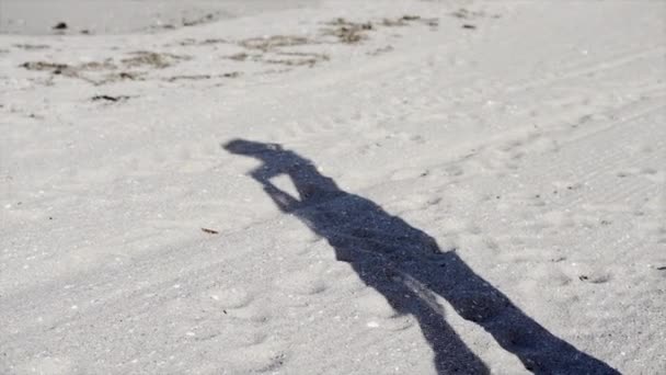 Shadow Girl White Sand Mount Maunganui Horizontale Video — Stockvideo