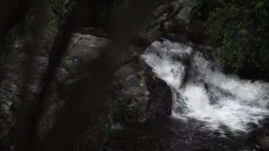 Tanınmayan kişi Kaiate Şelalesi 'ndeki ormandan bir şelaleyi gözlemliyor - 4K Yatay Video