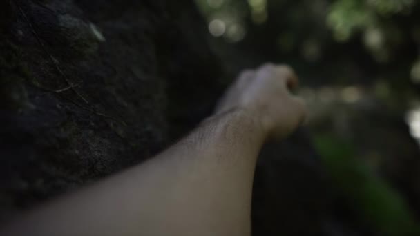 盖奥特森林里的一棵树 用手摸着它的近身男子跌倒了 慢动作 4K水平视频 — 图库视频影像