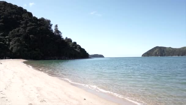 Abel Tasman Nationalpark Strand Med Det Blå Havet Horisontell Video — Stockvideo