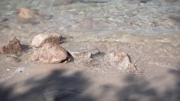 Plage Rocheuse Rivage Dans Parc National Abel Tasman Vidéo Horizontale — Video