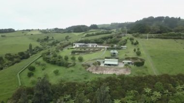 Yeni Zelanda 'da otlayan koyunların bulunduğu kırsal alanın havadan görünüşü - 4K Yatay video