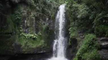 Kaiate Şelalesi 'ndeki bitkilerle çevrili bir ormanın ortasındaki doğal şelale - 4K Yatay Video