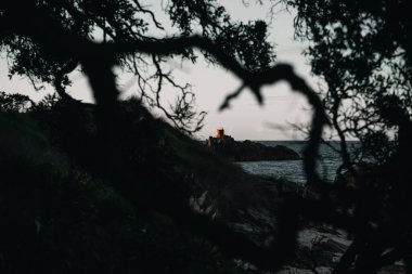 Gri gökyüzünün altındaki sakin suların ortasında, ormanın diğer tarafındaki kayaların tepesinde küçük yuvarlak bir yapı, Yeni Zelanda 'daki Maunganui Dağı - seyahat konsepti