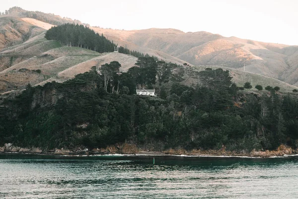 Maison Milieu Des Arbres Sur Les Rives Des Trois Sœurs — Photo