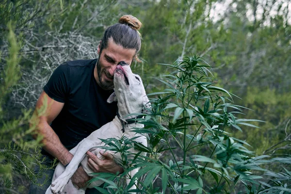Genç ve beyaz bir adam büyük beyaz bir dişi köpekle oynuyor.