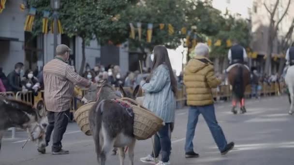 Burros Com Cesta Sobre Bênção Dos Desfiles Animais Valência Espanha — Vídeo de Stock