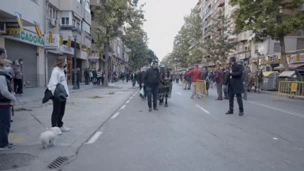 Procession Animals Street Festivity San Antonio Abad Valencia Spain Wide — Stock Video