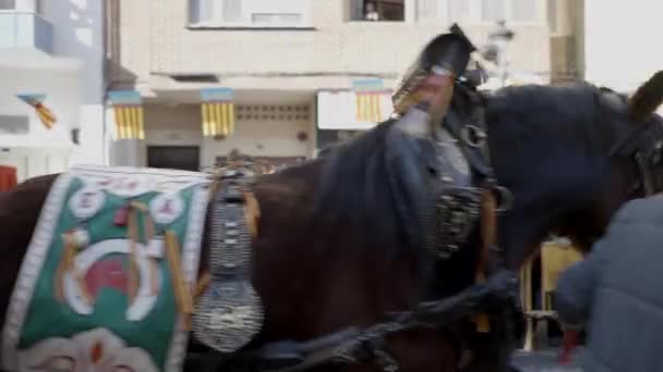 Parader Andalusiska Hästar Med Gamla Kärror Vid San Antonio Abads — Stockvideo