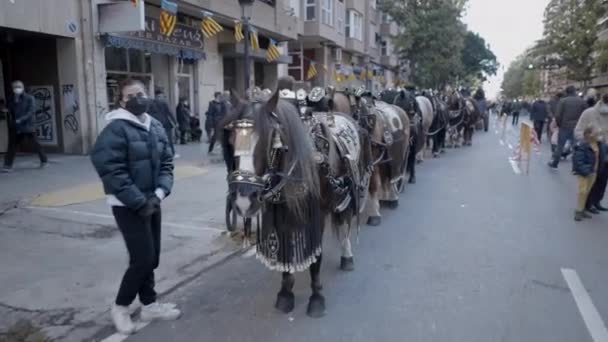 在西班牙瓦伦西亚的圣安东尼修道院 西班牙的马在仪式上受到了动物的祝福 跟踪射击 4K水平视频 — 图库视频影像