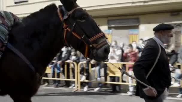 スペインのバレンシアで開催されるサンアントニオ アバド フェスティバルの間に大きなトロフィーを運ぶ馬を持つ髭の男の肖像画 中出し 4K水平ビデオ — ストック動画