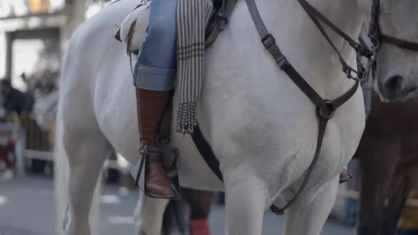 Hombre Montando Caballo Blanco Calle Durante Fiesta San Antonio Abad — Vídeos de Stock