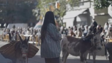 İspanya, Valencia 'da San Antonio Abad Festivali sırasında katırlarla sokakta duran kadın. orta ekran - 4K Yatay Görüntü