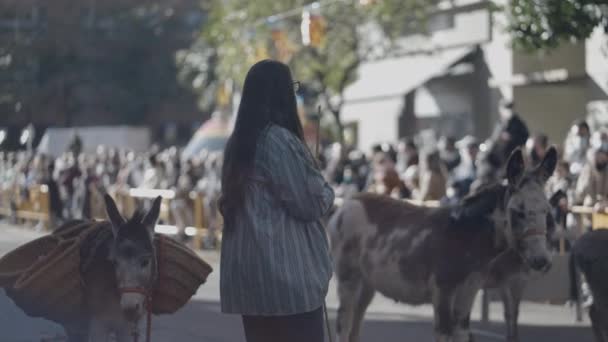 Női Helyi Álló Utcán Öszvérekkel Alatt San Antonio Abad Ünnepség — Stock videók