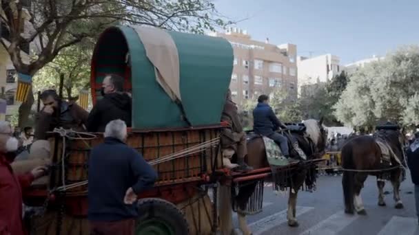 Caballo Transporte Arnés Bendición Los Animales Desfile Fiesta San Antonio — Vídeo de stock