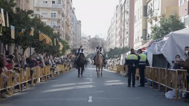 Lovas Felvonulás Szent Antal Apát Ünnepén Valenciában Spanyolországban Széles Lassított — Stock videók
