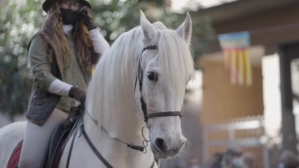 路上で美しい白い馬に乗るヒスパニック系の女性 サンアントニオ祭 スペイン バレンシアで開催 中出し 4K水平ビデオ — ストック動画