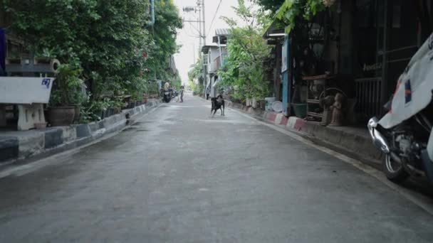 Egy Tiszta Utca Városi Lakóövezetben Bangkokban Thaiföldön Steady Shot Horizontális — Stock videók