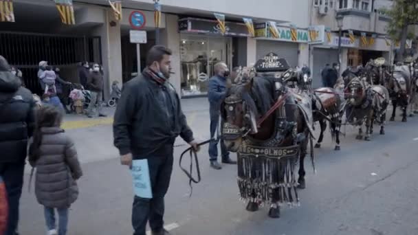 スペインのバレンシアで動物パレードの祝福で儀式のハーネスの美しい馬 トラッキングショット 4K水平ビデオ — ストック動画